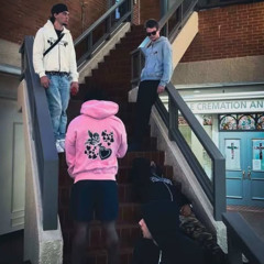 arp! (ssjlamar x nolykun)