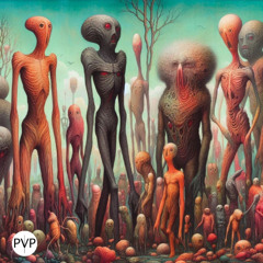 PREMIERE | K​Ø​LP​Ø​S - Señales [PVP]