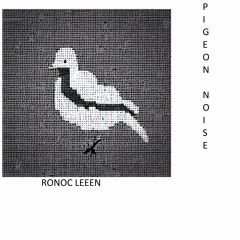 Pigeon Noise