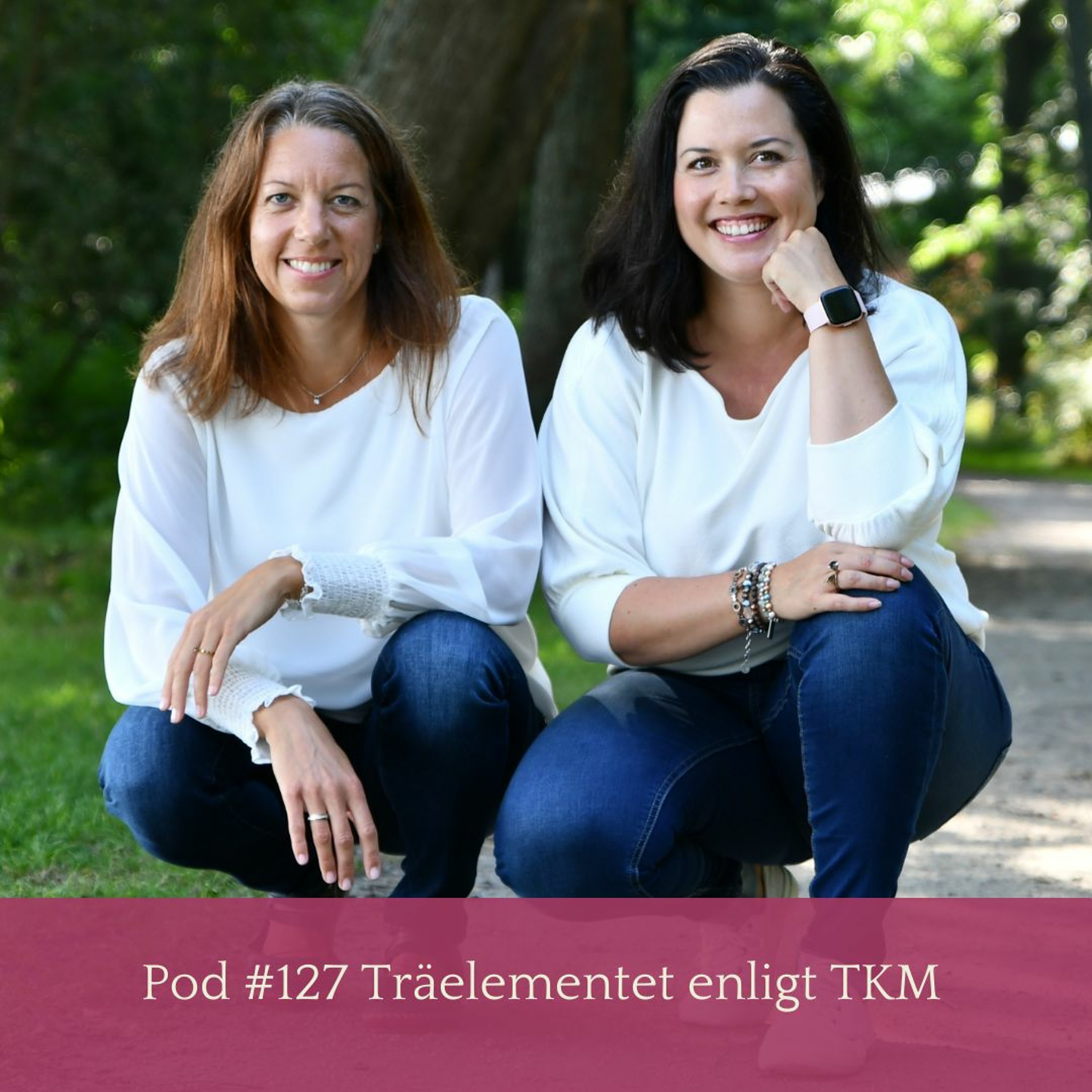 Alla Leders podcast