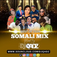 Best Of 2024 Somali Mix By DJQADZ