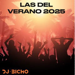 LAS DEL VERANO 2025 [DJ BICHO 25']