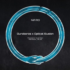 Ouroboros x Optical Illusion / NA•RO Mash