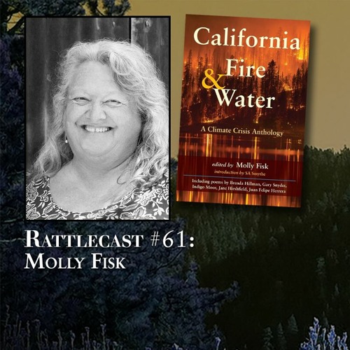 ep. 61 - Molly Fisk