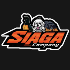 BJS - GOLDEN CROWN BREAKBEAT MIX [ SIAGA COMPANY ]