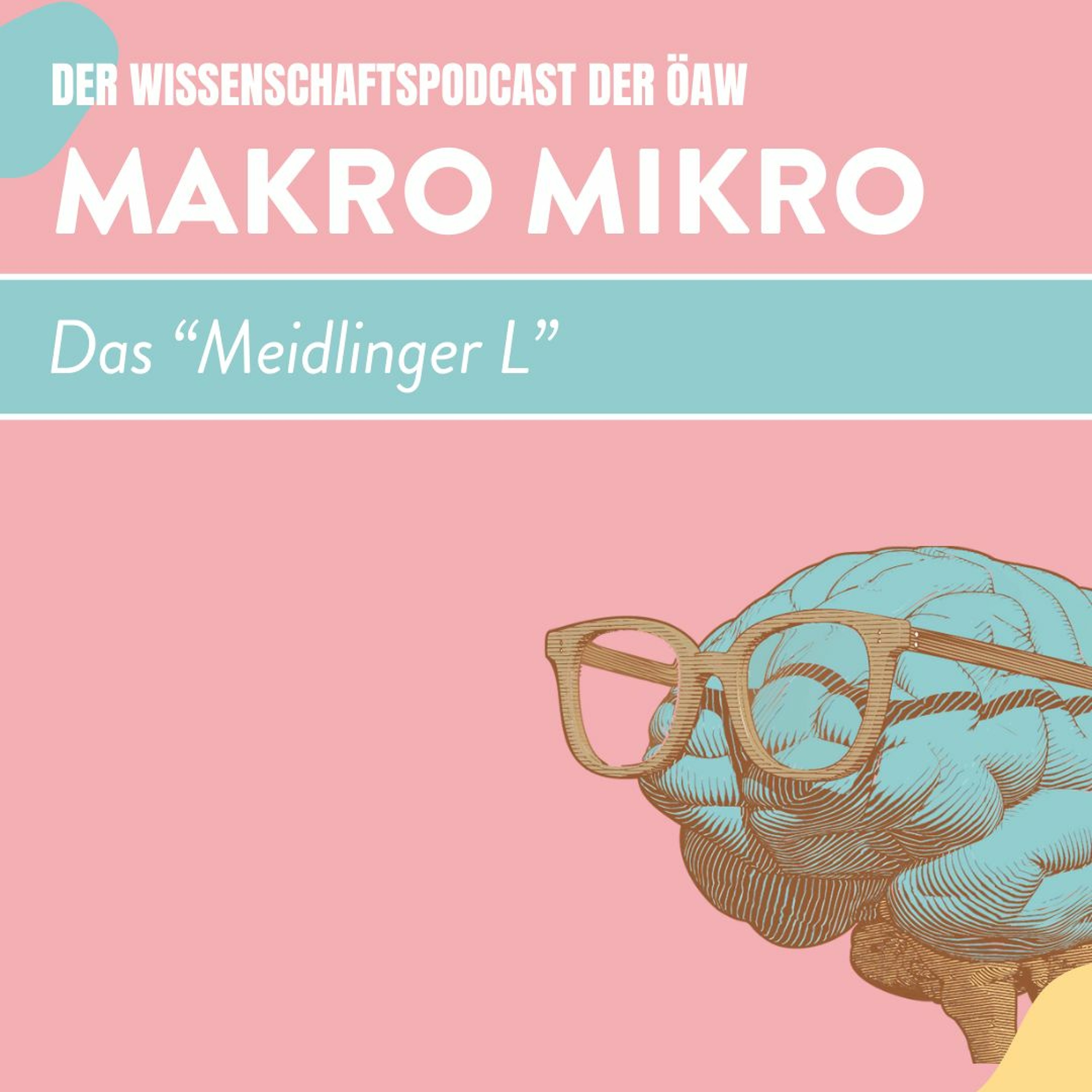 Makro Mikro