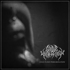 Grave With A View - Cold Flesh Peregrination