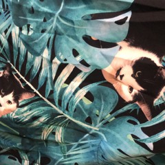 Lullaby in the woods