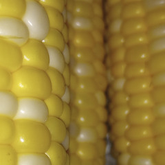 CornPone