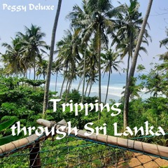 Peggy Deluxe >> Tripping through Sri Lanka 2021 >> Deep Melodic Journey