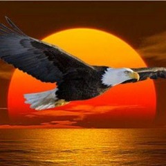 🦅🎶 I Wanna Fly 🦅🎶