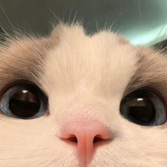 Used to me - Luke_Chiang (Cover)