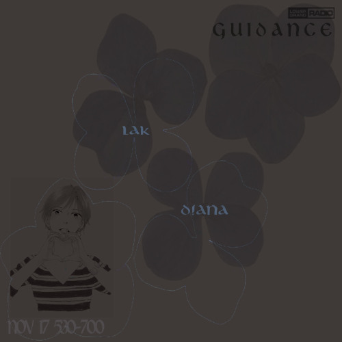 guidance with lak and diana for lower grand radio 11.17.2025