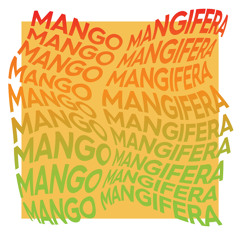 Mango Mangifera