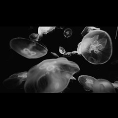 TIME - impro to Hania Rani