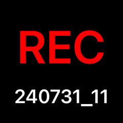 REC_20240731_11.wav