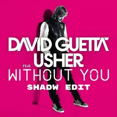 David Guetta feat. Usher - Without You (Shadw Edit)