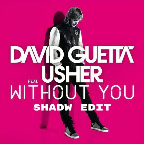 David Guetta feat. Usher - Without You (Shadw Edit)