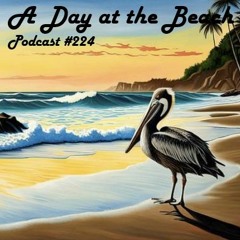 A Day at the Beach - Podcast #224