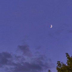 being so lonely (prod.yogicbeats)