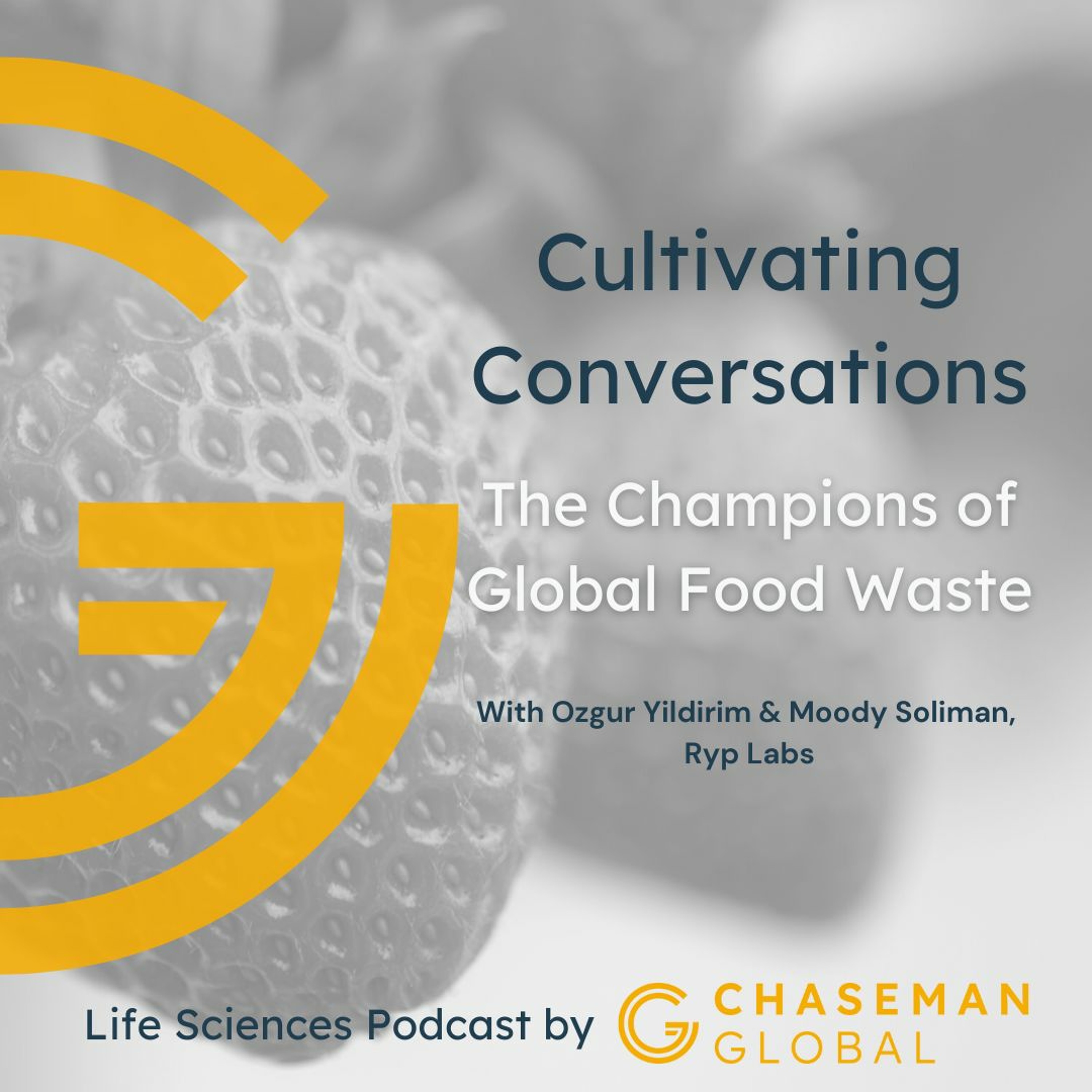 Cultivating Conversations with Chaseman Global