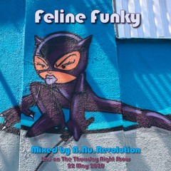 Feline Funky Live on TTNS 22May20