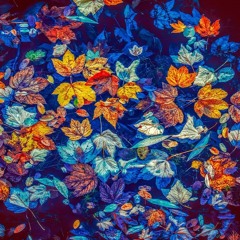 떨어진 낙엽 틈새