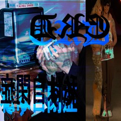 erd w/ spectr3