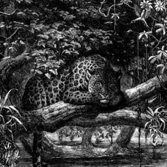 ‏‏‏‏‏‏‏‏