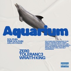 ocean freestyle ft Wraith King