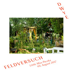 Paczka Feldversuch 2017