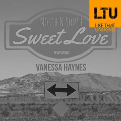 Premiere: North N South & Vanessa Haynes - Sweet Love (Main Vocal Mix) | Future Spin Records