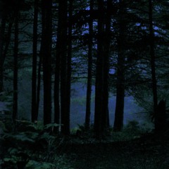 A Pesar | Orquestal · Melancólico