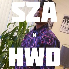 SZA x HWD - Smoking On Yo Top Five (Raw Version)