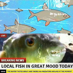 m_aquariumnight_rmx_rmx