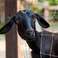 Stuck in my ways PROD. Florigineel