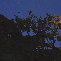 kuch toh log kahen gai (mubeen butt)