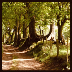 Trippin’ Down Tobacco Lane