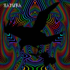 Feather’s Symphony
