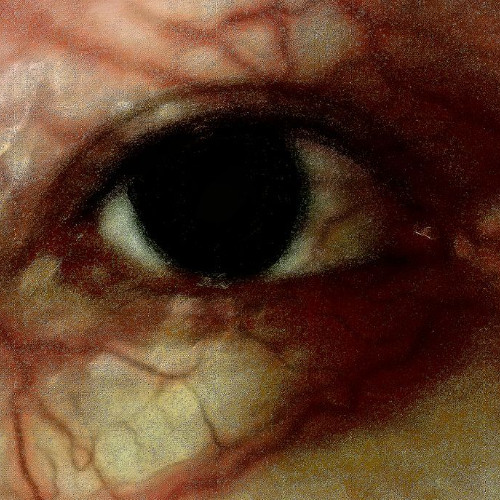 ‎‎‎‎‎‎‎‎ㅤ