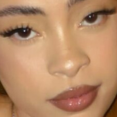 a snipe a liar [ice spice remix]