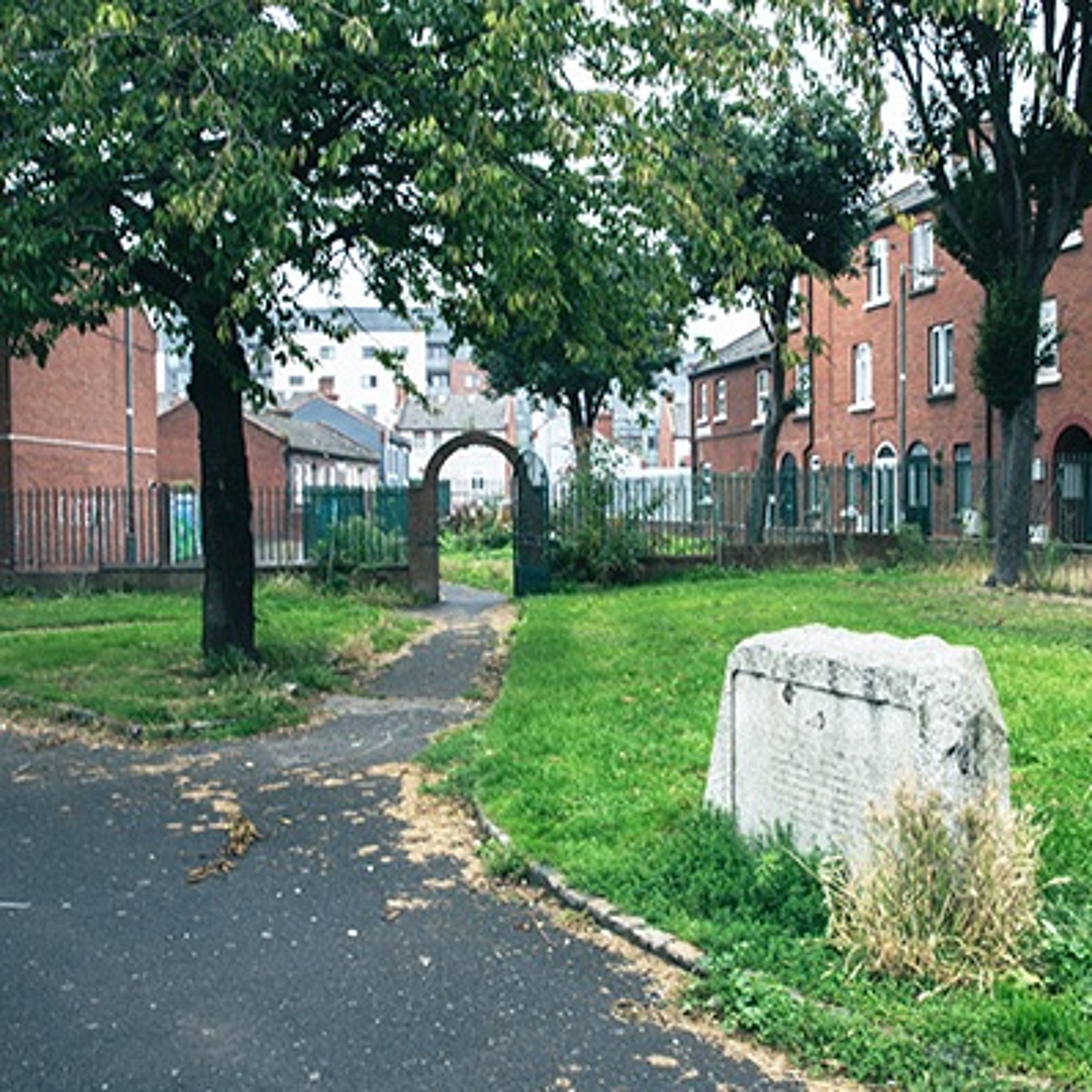Cabbage Garden Burial Ground Audio Guide – Discover Dublin's Historic Graveyards episode artwork
