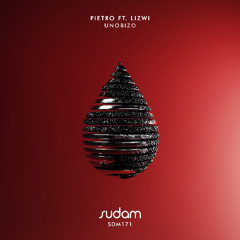 Pietro ft. Lizwi - Unobizo (Extended MIx) [Sudam_Recordings]
