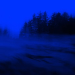 quintuple - linger