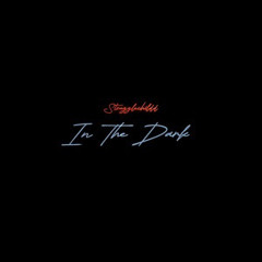 Strugglechildd - In The Dark (Official Audio)