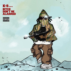 KKRUGGERR - Dont be Alarmed prod by djque