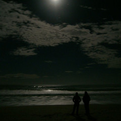 Novo Amor - Anchor, Repeat Until Death, State Lines | One Hour Loop With Relaxing Rain