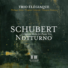 Piano Trio No. 1 in B-Flat Major, Op. 99, D. 898: II. Andante un poco mosso