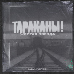 Жёлтая звезда (Album Version)