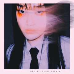 NECTA-Fluid (remix)